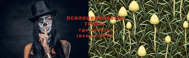 Псилоцибиновые грибы Magic Shrooms  где купить наркоту  Нижние Серги 